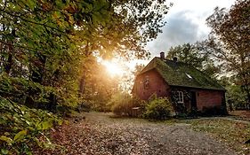 Ferienhaus Forsthaus - Gut Thansen