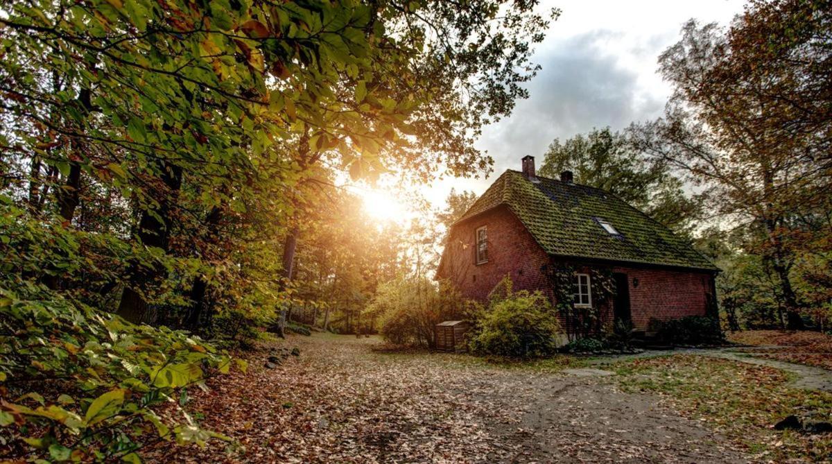Forsthaus - Gut Thansen Soderstorf Exterior foto